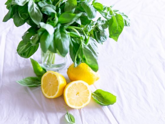 lemon recipes for the skin